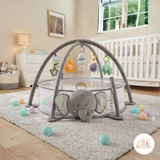 Gimnasio y Alberca de Pelotas