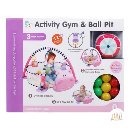 Gimnasio y Alberca de Pelotas