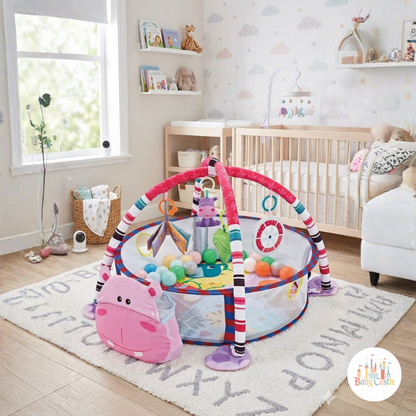 Gimnasio y Alberca de Pelotas